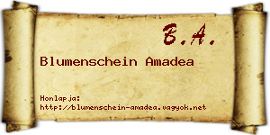 Blumenschein Amadea névjegykártya